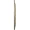 Ekena Millwork Biddix Ceiling Medallion (Fits Canopies up to 7 1/2"), Hand-Painted Gobi Desert, 20 7/8"OD x 1 1/4"P CM20BXGDF - alternate 5